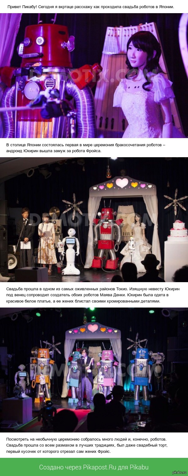 ������ - ������ �����!