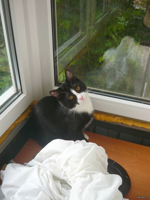 Персональный будильник на 4 утра