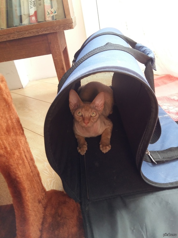 Исполнение желаний.