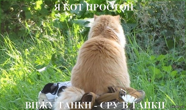        - <a href="http://pikabu.ru/story/osnova_mirozdaniya_3561609">http://pikabu.ru/story/_3561609</a>
