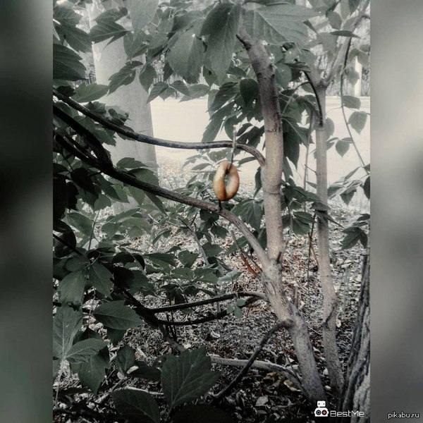 - � �� ��� �������� ��������....