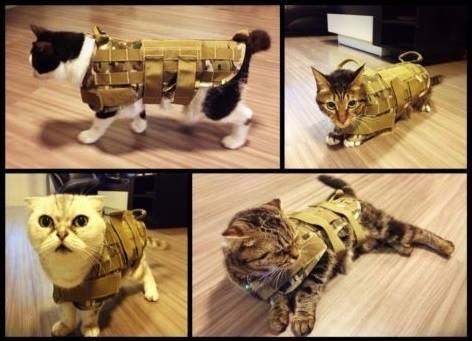 tactical seals - cat, Unloading, Comments, Sabotage