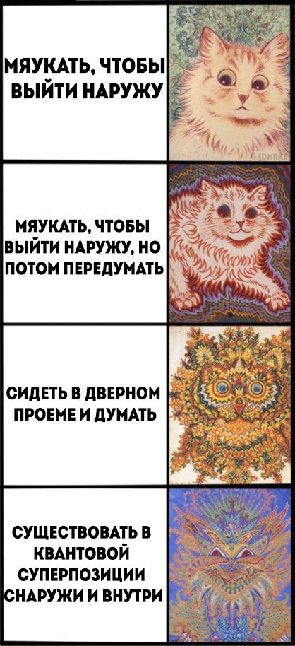 Кошачье - ВКонтакте, Кот