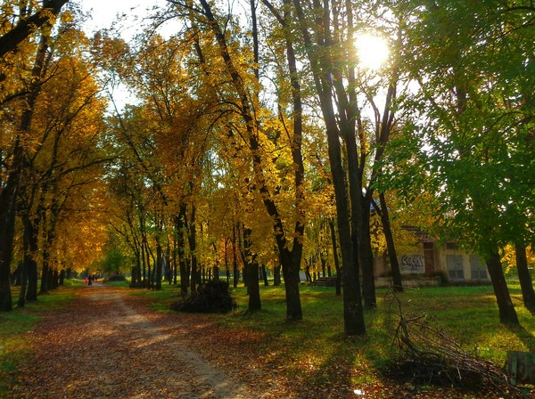 Оршанские зарисовки - Урбантуризм, Урбанфото, Город, Республика Беларусь, Моё, Природа, Длиннопост, Орша