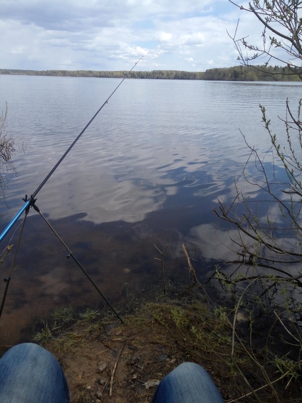 Fishing. - My, Fishing, Istra Reservoir, Didn't catch, Longpost