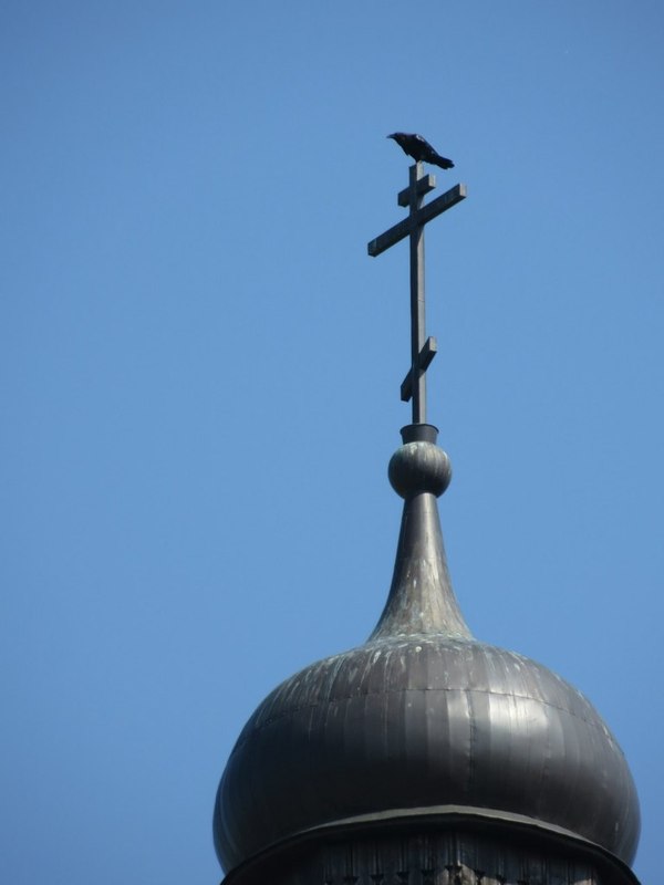 Crow - My, The photo, Crow, Domes, Temple