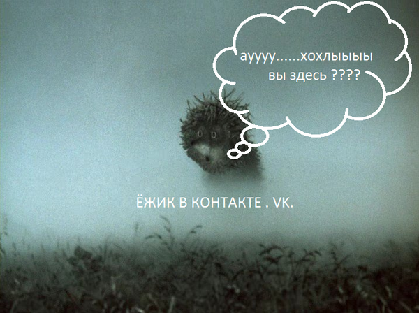 �� ������ , �� �� ��� � ���� ?