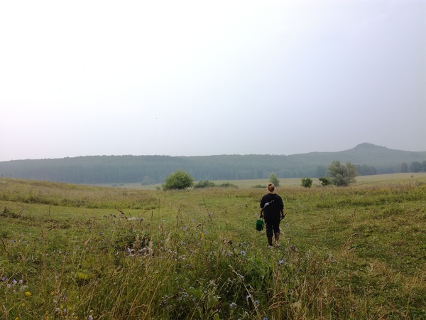 2016 ���,�����,�� �������...