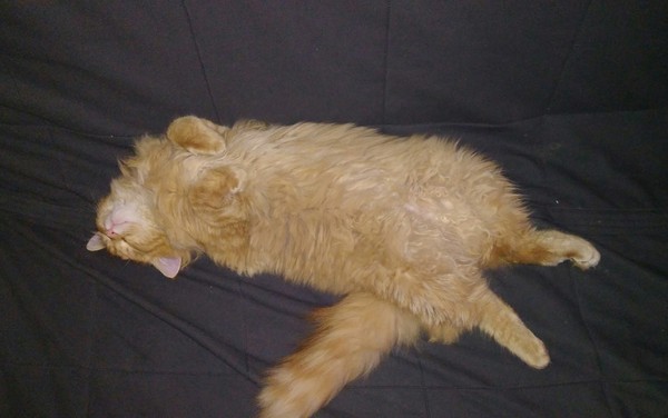 Вечерний кайф