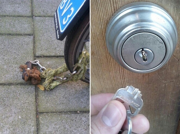 ����������.