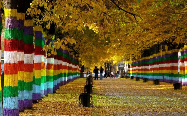 Alley of Komsomolsky prospect - one of the central and most beautiful streets of Perm - The photo, Russia, Interesting, Permian, Nature, Autumn, Tourism, Travels