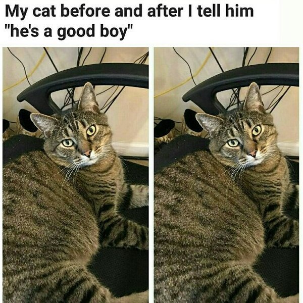 ��� ��� �� � ����� ����, ��� � ������ ���, ��� �� ������� �������: