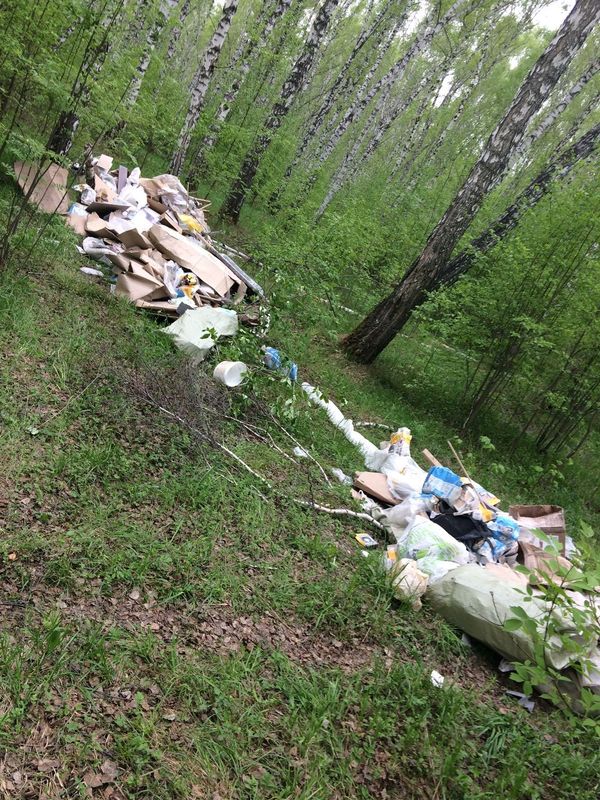 Зла не хватает! - Моё, Новосибирск, Бугринская роща, Мусор, Плохие люди