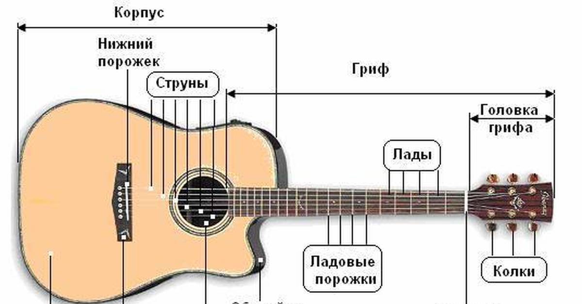 Настроена ли гитара. Строение гитары 6-ти струнной акустической гитары. Схема струн на гитаре 6 струн. Акустическая гитара Лады схема.