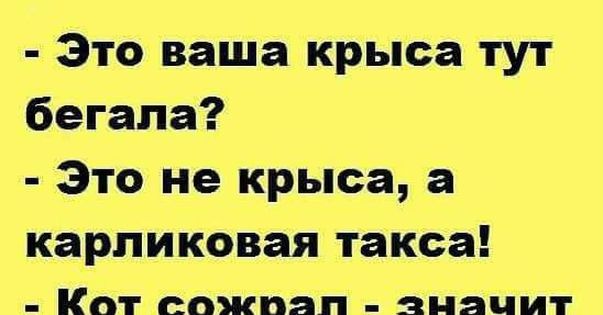 Что значит человек крыса. Статус про крыс. Цитаты про крыс. Друзья крысы статусы. Крыса в коллективе.