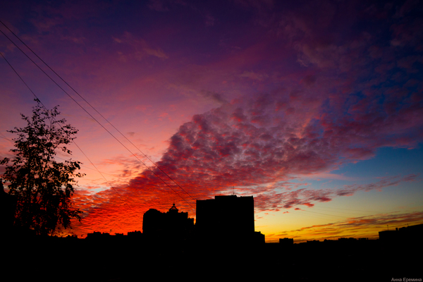 From the window - My, Battle of sunsets, Sunset, The photo, Silhouette, Saint Petersburg