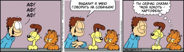 Translated by Garfield, May 17, 2017 - My, Comics, Translation, Garfield, Humor, cat, Dog, Dog