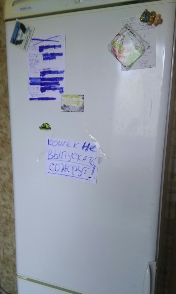 ����� ���� ������� ��������