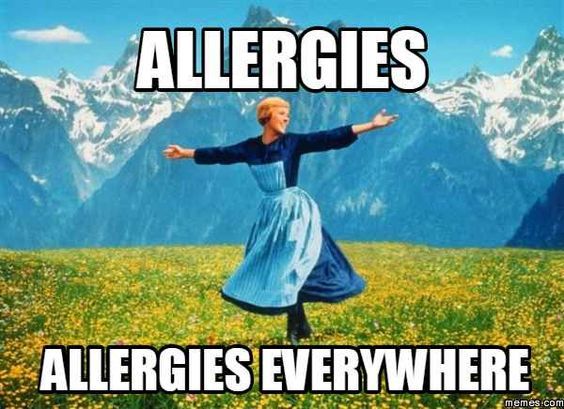 Hello, my name is Tanya and I have hay fever. - My, Allergy, Pollinosis, Medications, Longpost