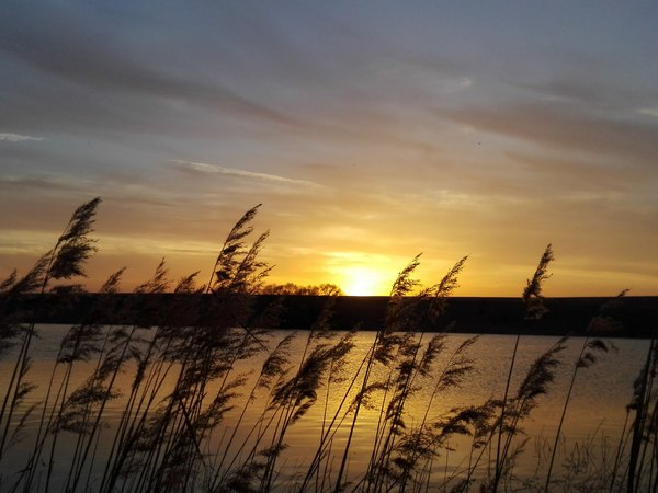 Sunset - My, Sunset, Lake, My