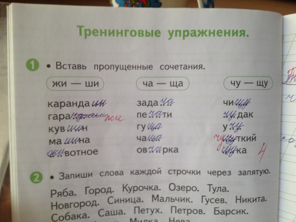 It turns out these words are spelled differently))) - My, School, First grader