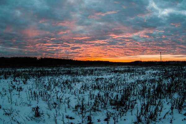 sunsets from me - My, Battle of sunsets, Sunset, Nature, Nizhny Novgorod