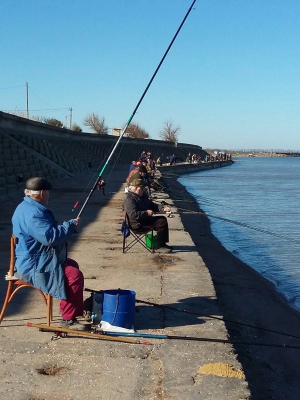 Catching the Azov goby - My, Fishing, Goby, Spring Fishing, Fishing rod, Spinning, Longpost