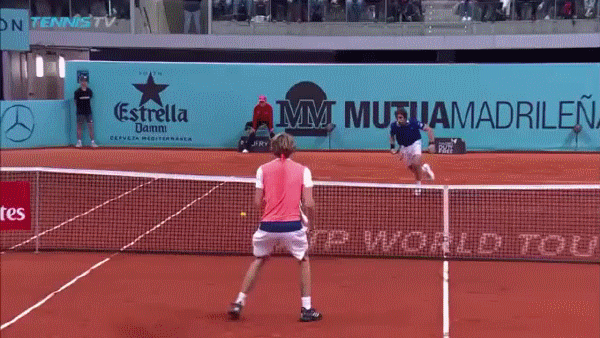 Hit without looking - , Tennis, , Alexander Zverev, GIF