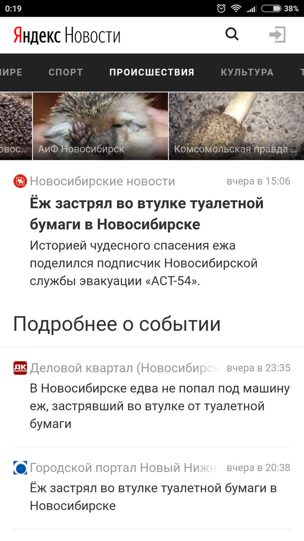 Происшествие с ёжиком.. продолжение в комментариях