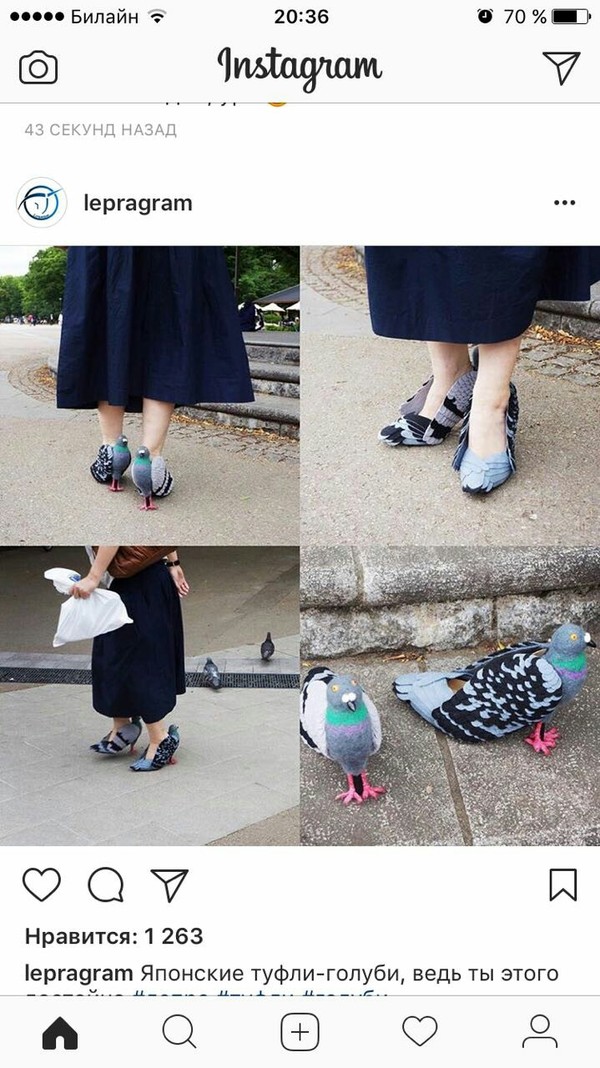 kurly kurly - Pigeon, Fashion what are you doing