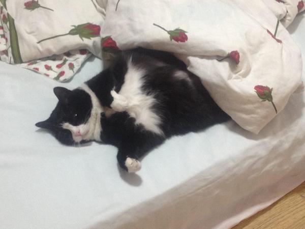 Спокойной ночи)