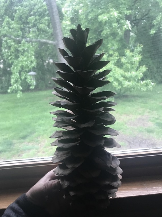 "Нашёл тут ананас на стероидах"