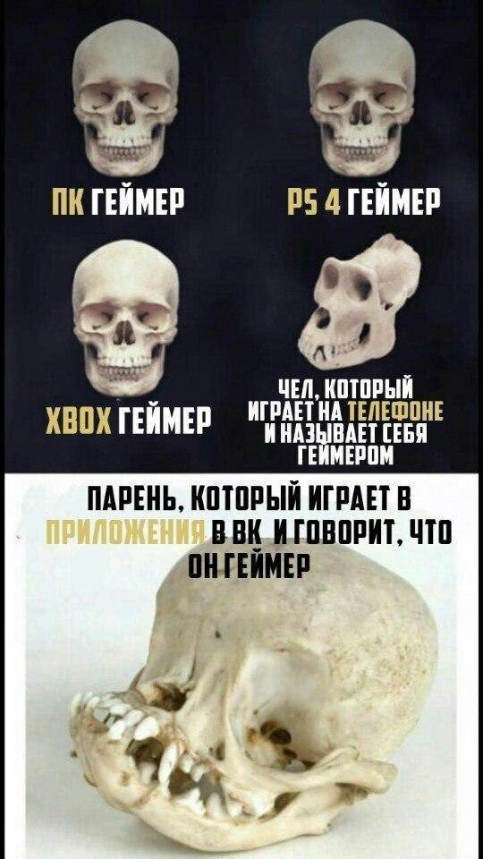 Про геймеров | Пикабу