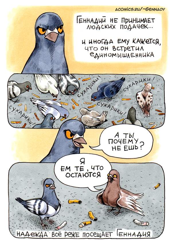 The disappointment of the dove Gennady - Comics, Disappointment, Pigeon Gennady, Koropublic