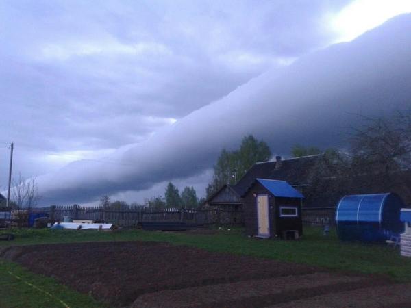 Cloud-roll in Borovichi - Russia, Novgorod region, The nature of Russia, Borovichi, Clouds
