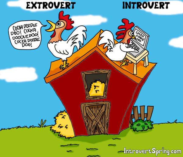 Now any chicken understands!) - Psychology, Humor, Picture with text, Rooster, Bloggers, Neighbours