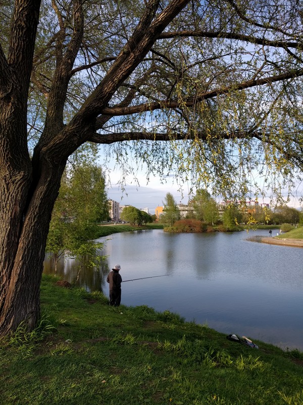 The usual square of the usual Peter. - My, Spring, Saint Petersburg, Fishing, Nexus 5