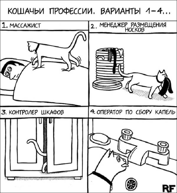 Кошатник-профессия.