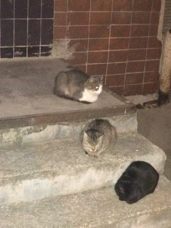 ������ � ������?)