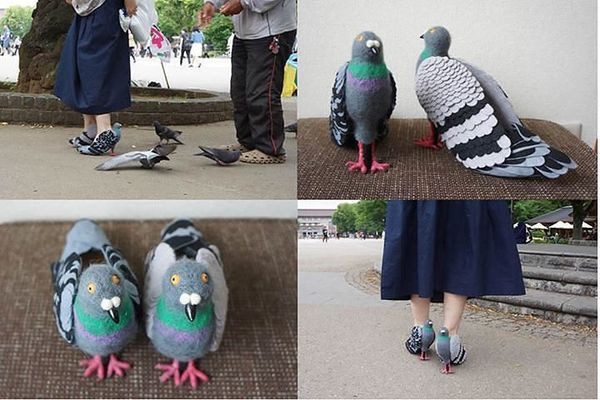 Stylish trendy youth - Pigeon, Not mine, Humor