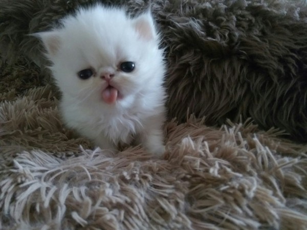 "Доброе" утро