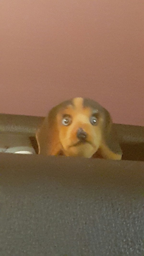  ) , , ,  