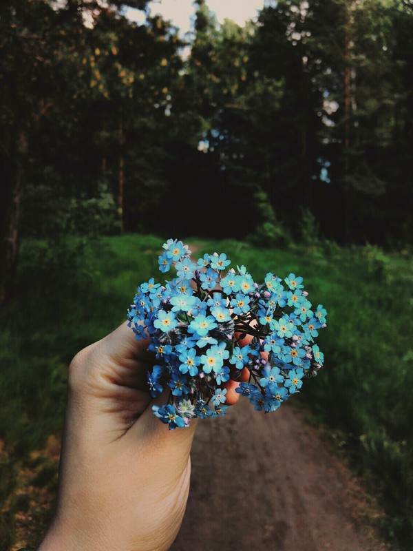 �������� ���� ��� � �����