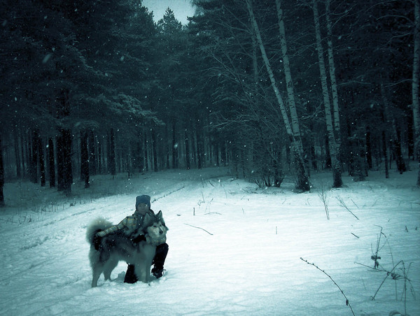 I don't know about you, but I love winter.... - My, Winter, Dog, Alaskan Malamute, 