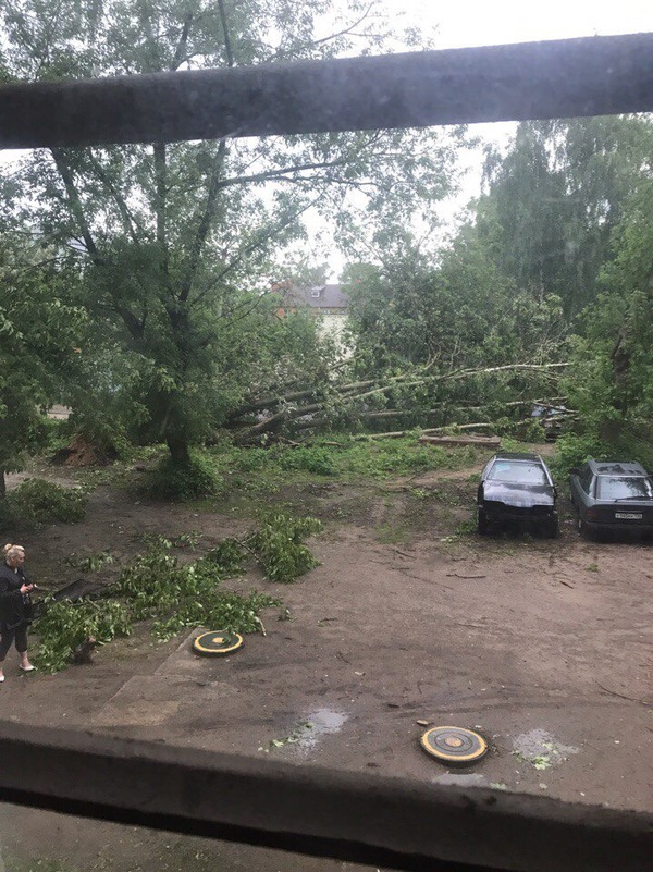 Consequences of a hurricane in Orekhovo-Zuyevo - Orekhovo-Zuevo, Hurricane, My, Consequences