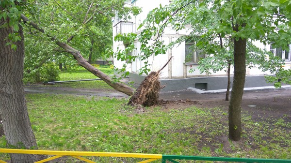 Последствия урагана, Москва, СВАО - Ураган, Москва, Длиннопост