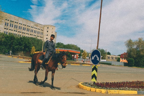 Когда говоришь, что живёшь в Казахстане - Моё, Фотография, Лошади, Nikon, Казахстан, Уральск