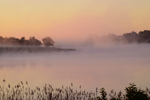 Silence at full volume - dawn, My, Village