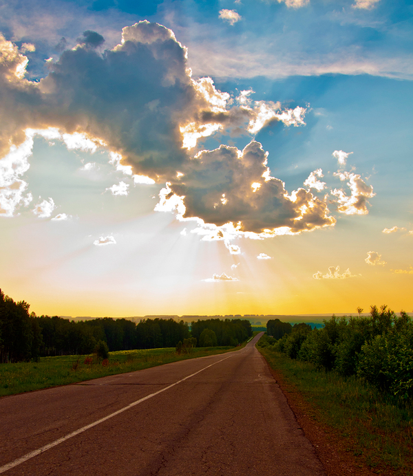 road sunset - Forest, The photo, Battle of sunsets, Sky, Road, My