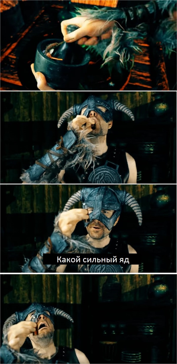  Skyrim:  ,     